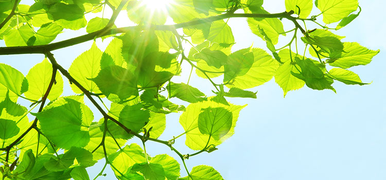 初めてご利用の方へ